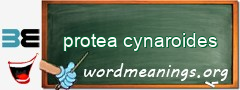 WordMeaning blackboard for protea cynaroides